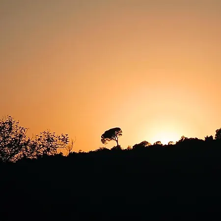 Casa De , Natureza E Calma